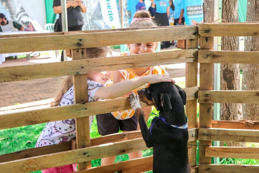 Ação gratuita acontece das 6h às 12h e integra programação da Maratoninha Kids Ecológica