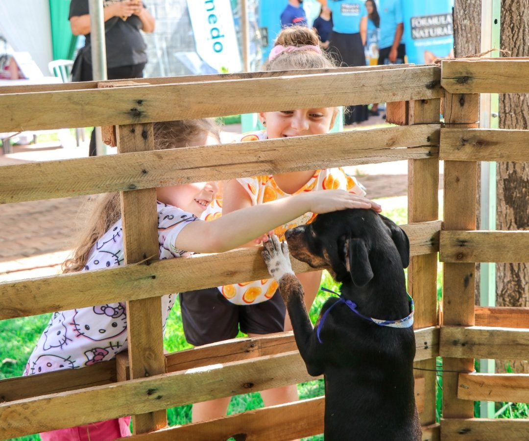 Ação gratuita acontece das 6h às 12h e integra programação da Maratoninha Kids Ecológica