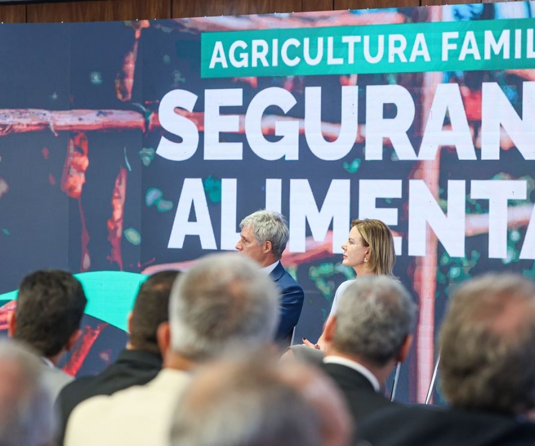 Imagem: Reprodução