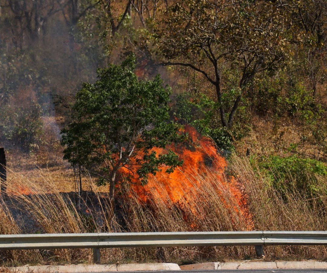 Imagem do WhatsApp de 2025-09-05 à(s) 13.27.53_9d126a60