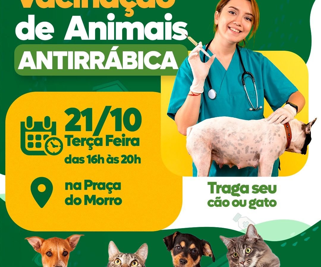 Imagem do WhatsApp de 2025-10-20 à(s) 15.08.13_9f133959