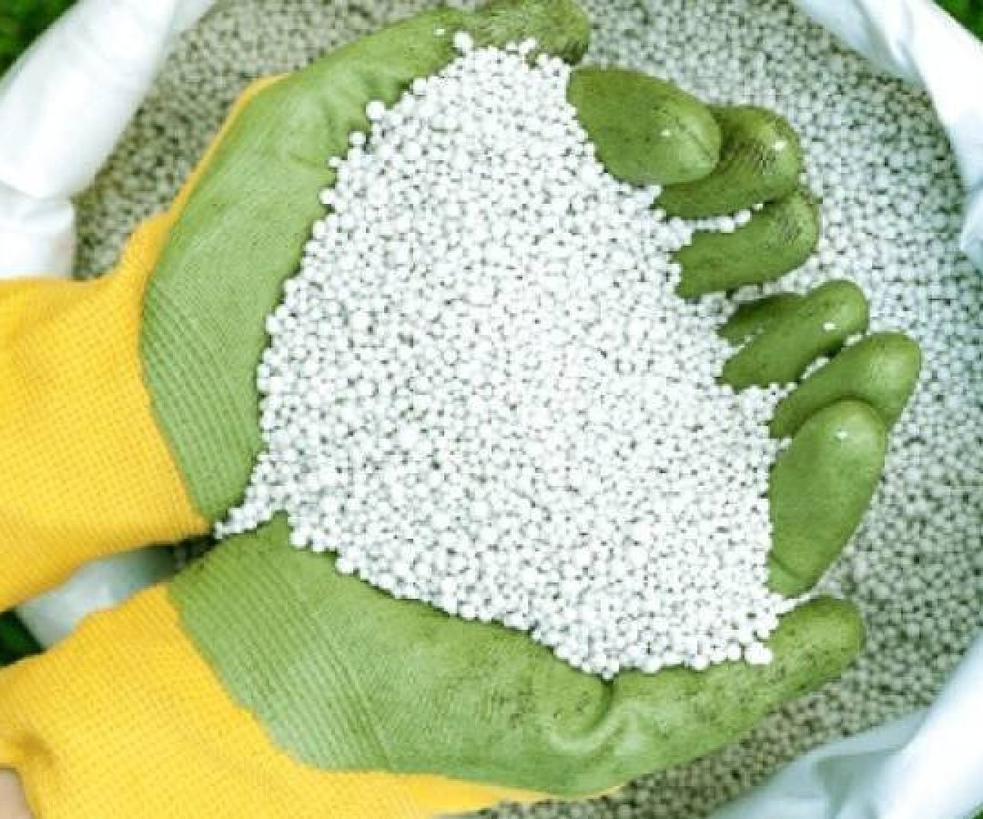 blog-ambiental-amoniaverde4