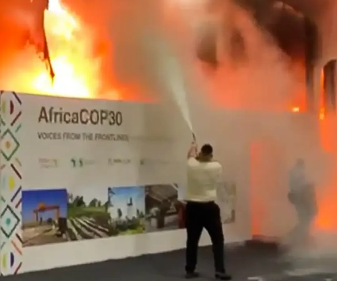 Reprodução de vídeo.