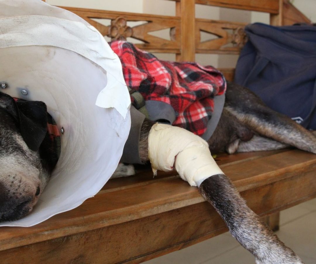 Imagem: Reprodução