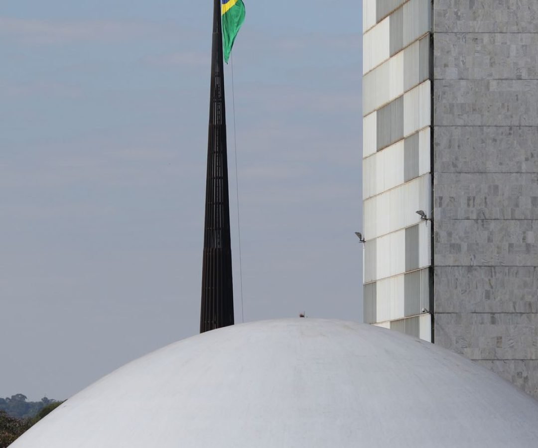 Imagem: Reprodução