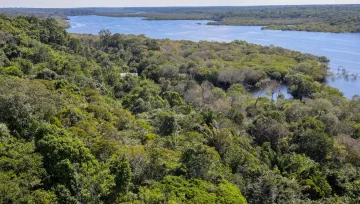 Fabio Rodrigues-Pozzebom/Agência Brasil
