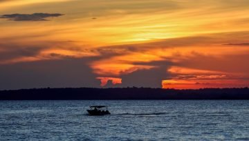 Imagem: Reprodução