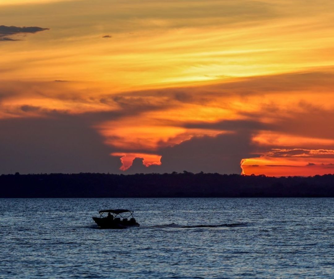 Imagem: Reprodução